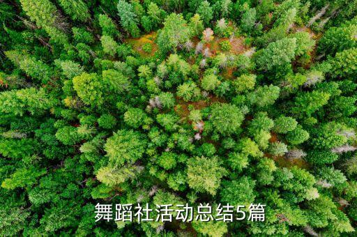  舞蹈社活动总结5篇