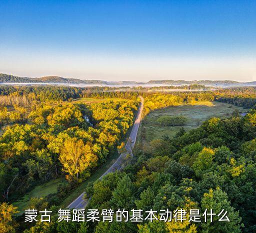 中国好舞蹈 蒙族舞,中国舞蹈考试顺序是什么?