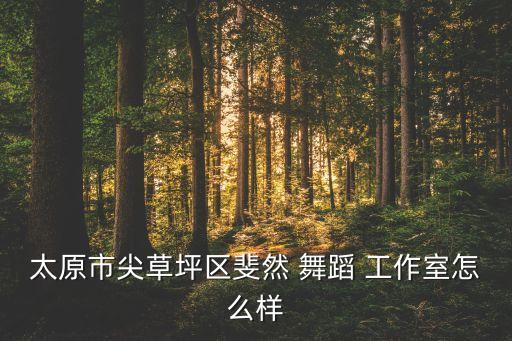 太原市尖草坪区斐然 舞蹈 工作室怎么样