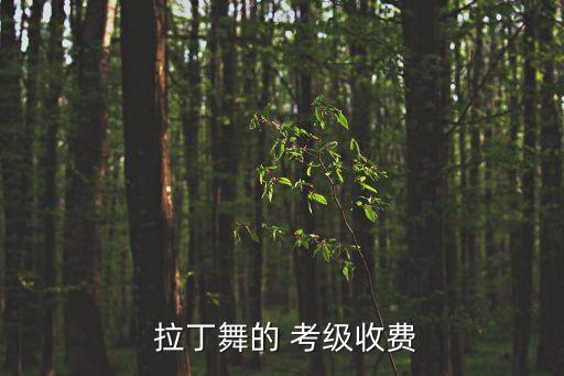  拉丁舞的 考级收费
