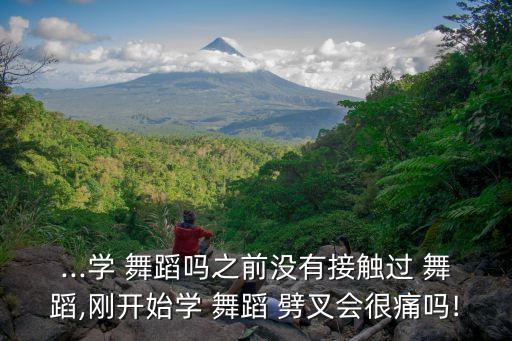 ...学 舞蹈吗之前没有接触过 舞蹈,刚开始学 舞蹈 劈叉会很痛吗!