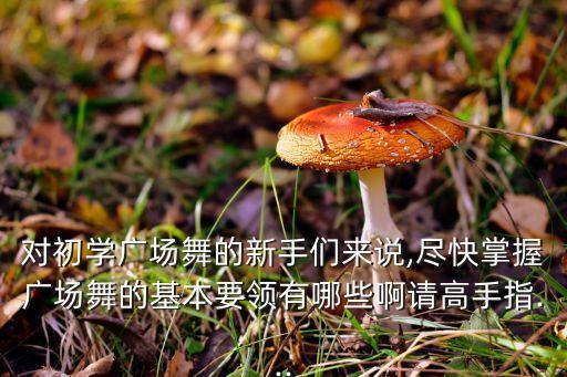 对初学广场舞的新手们来说,尽快掌握广场舞的基本要领有哪些啊请高手指...