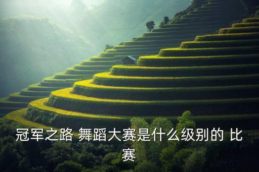 手拉手国际舞蹈比赛,冠军之路国际标准舞邀请赛维吾尔族选手