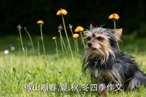 微山湖舞蹈视频,山东微山湖畔古人蓄水待发或为故乡傩