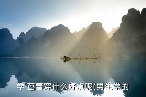 专业芭蕾舞蹈鞋,男生学芭蕾基本功训练最好选择芭蕾运动服装