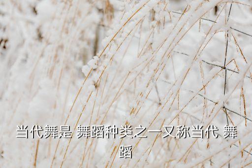 中国舞舞蹈表演图片,中国《当代舞蹈》被列为中国舞蹈重要舞蹈