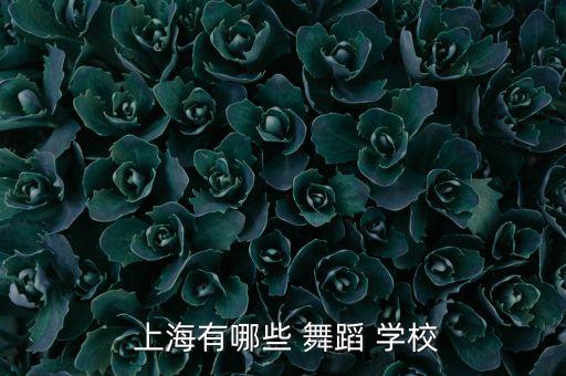  上海有哪些 舞蹈 学校