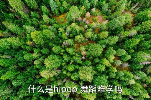 什么是hipop 舞蹈难学吗