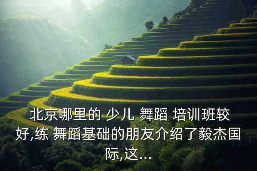  北京哪里的 少儿 舞蹈 培训班较好,练 舞蹈基础的朋友介绍了毅杰国际,这...
