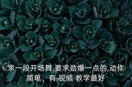 求一段开场舞,要求劲爆一点的,动作简单、有 视频 教学最好
