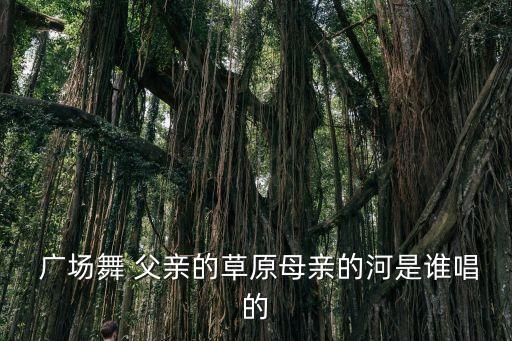  广场舞 父亲的草原母亲的河是谁唱的