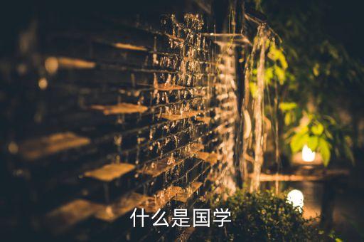 什么是国学