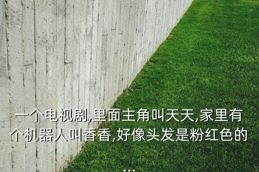 舞蹈演员宋洁,《天天2088》第二集讲述中西合璧故事