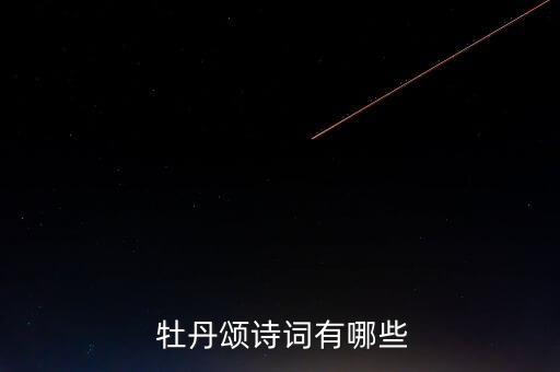 总政 牡丹颂舞蹈视频,第二集:我和你一起跳起来!
