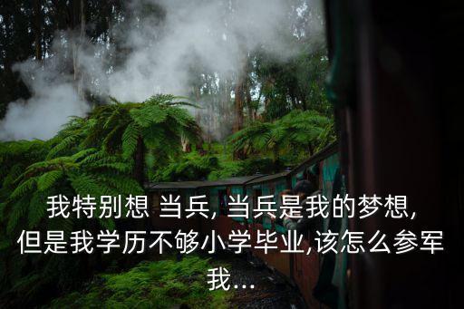 我特别想 当兵, 当兵是我的梦想,但是我学历不够小学毕业,该怎么参军我...