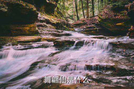 舞翩仙是什么