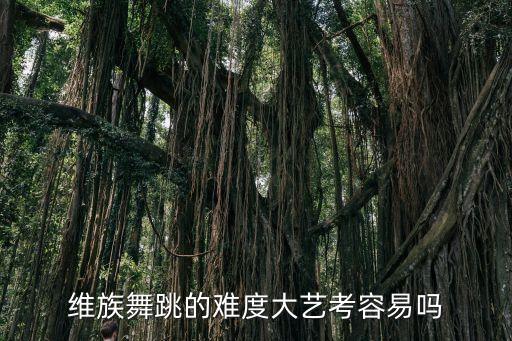 舞蹈八级维吾尔族舞,维吾尔族人跳舞难艺考难!