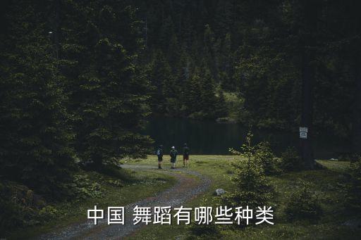中国 舞蹈有哪些种类