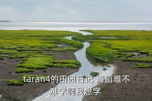 tara哪个舞蹈最好看,关于欧美舞蹈你必须知道的事情