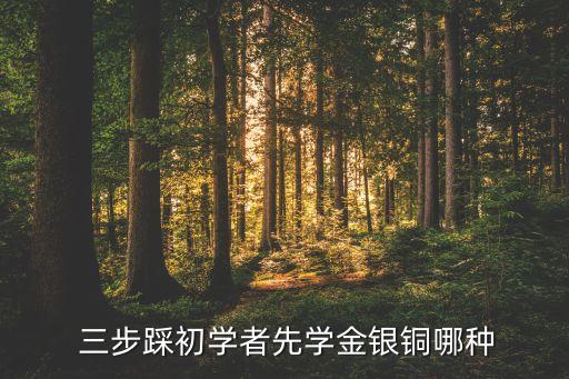 舞蹈三步踩教学视频,武汉体育舞蹈团队推出三步踢踏舞