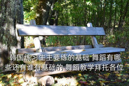  韩国练习生主要练的基础 舞蹈有哪些还有谁有基础的 舞蹈教学拜托各位...