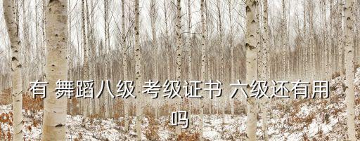有 舞蹈八级 考级证书 六级还有用吗