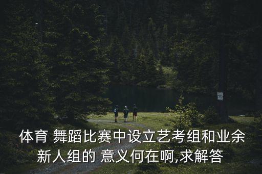  体育 舞蹈比赛中设立艺考组和业余新人组的 意义何在啊,求解答