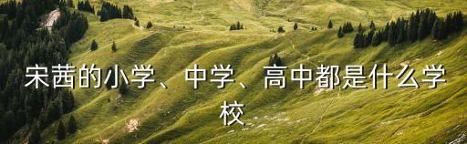宋茜桃李杯舞蹈,第八届桃李杯舞蹈比赛我国选手舞蹈水平提升