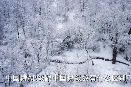 中国舞AB级跟中国舞级数有什么区别