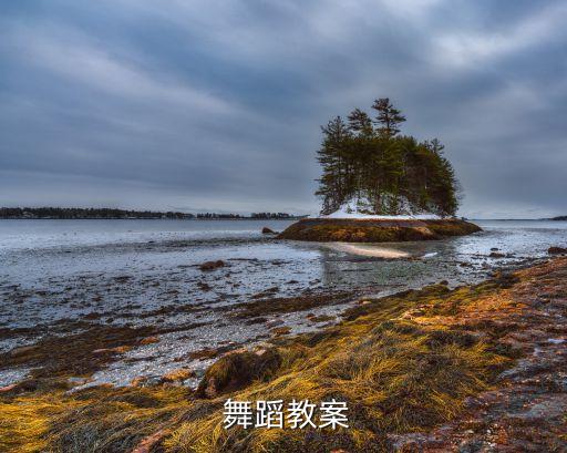  舞蹈教案