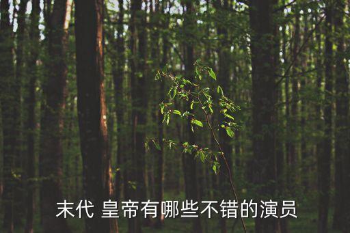  末代 皇帝有哪些不错的演员