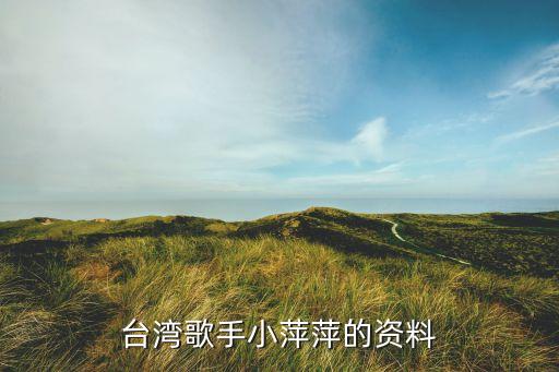 台湾歌手小萍萍的资料