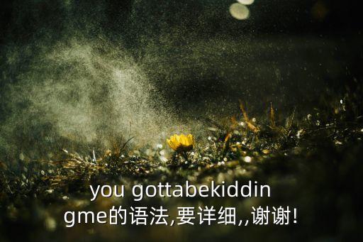 you gottabekiddingme的语法,要详细,,谢谢!