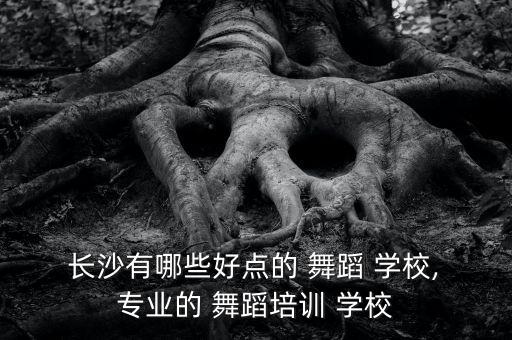  长沙有哪些好点的 舞蹈 学校, 专业的 舞蹈培训 学校