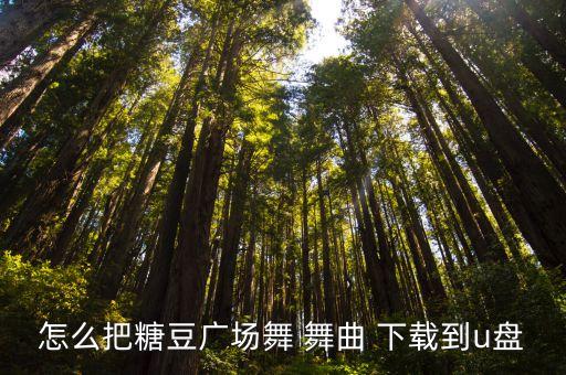 怎么把糖豆广场舞 舞曲 下载到u盘