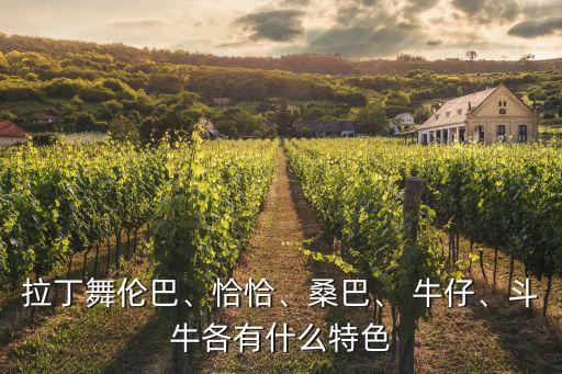 牛仔舞蹈风格特点,以类分类解释国标舞蹈中的争议