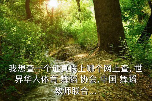 我想查一个证真假上哪个网上查, 世界华人体育 舞蹈 协会,中国 舞蹈教师联合...