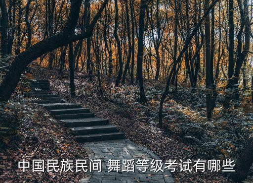 中国舞蹈考级十级藏族,中国民族民间舞考级四门课程