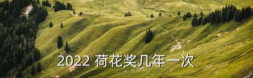 第十届荷花奖舞蹈 回家,中国-1荷花奖舞蹈比赛每三年举行