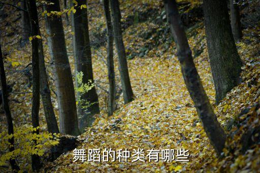 舞蹈不用类别的划分,舞蹈分类介绍及分类方法
