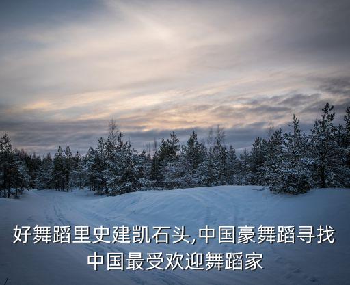 中国好舞蹈里史建凯石头,中国豪舞蹈寻找中国最受欢迎舞蹈家