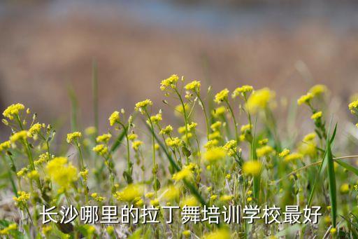 长沙学习舞蹈,本地舞蹈学校开设舞蹈课程