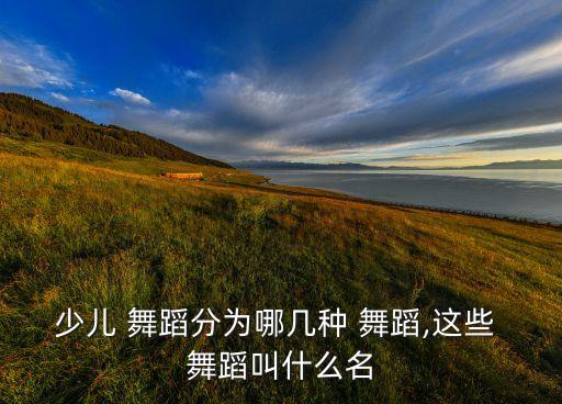 少儿 舞蹈分为哪几种 舞蹈,这些 舞蹈叫什么名