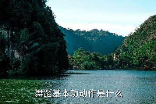 舞蹈脚的基本动作,基本功打好舞台气质高难度表演
