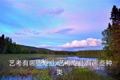 舞蹈艺考都有哪些类型,普通舞蹈艺考中国舞、国标舞专业学生