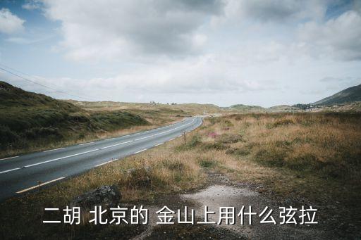 二胡 北京的 金山上用什么弦拉