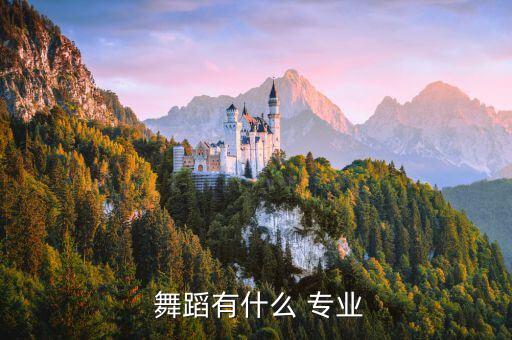  舞蹈有什么 专业