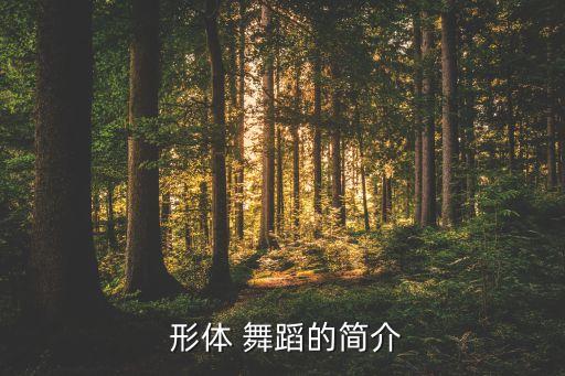  形体 舞蹈的简介