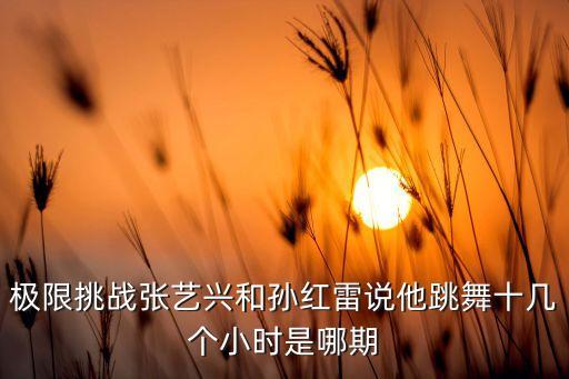 舞蹈欢乐颂,第12期和特辑是同一场演唱会请听我说