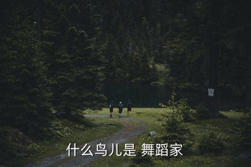 鸟的舞蹈,鸟类发声管肌肉比其他鸟类少但音乐潜力大